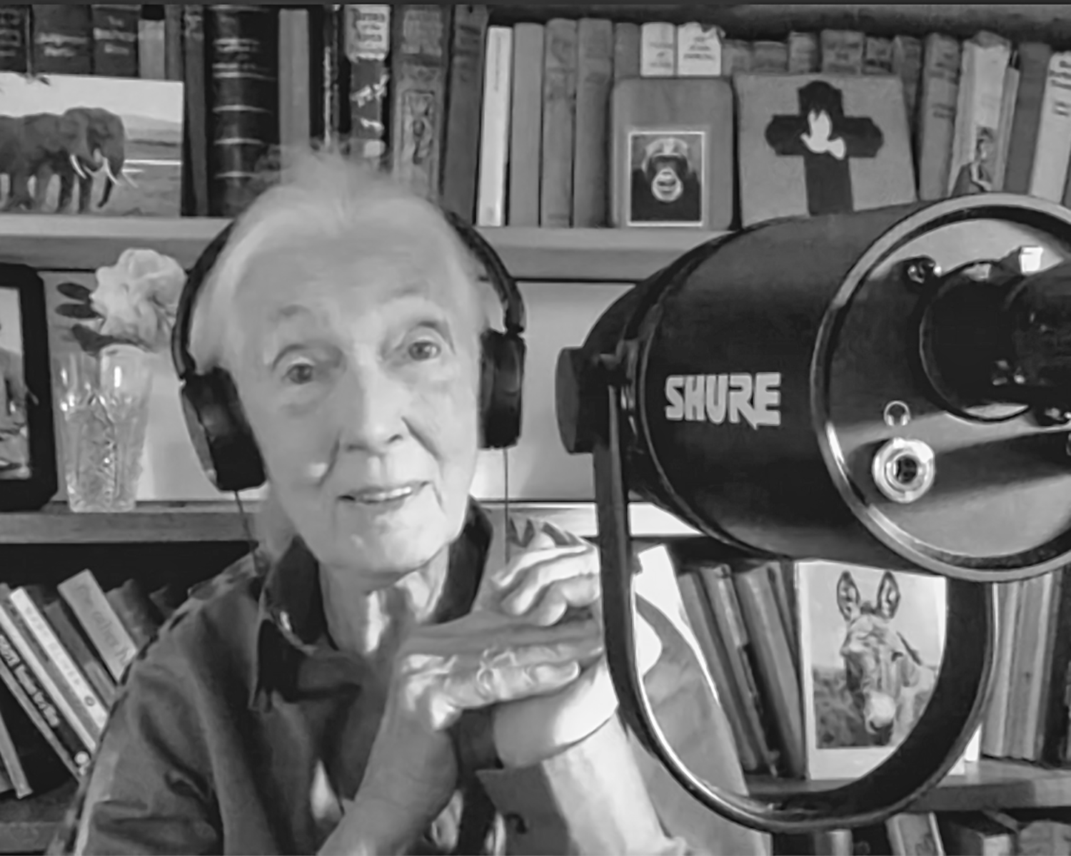 Jane Goodall Hopecast